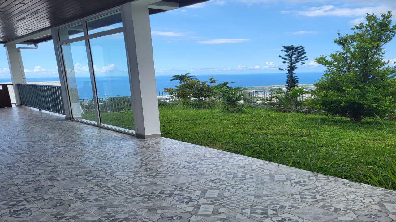 photo en chargement...