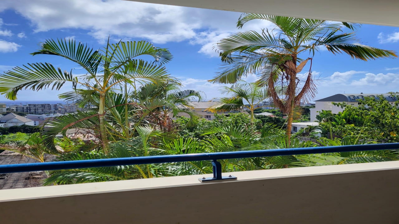 photo en chargement...